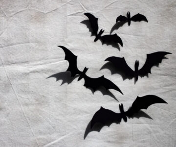 Kirigami Bats