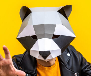 Papercrafts Racoon Mask